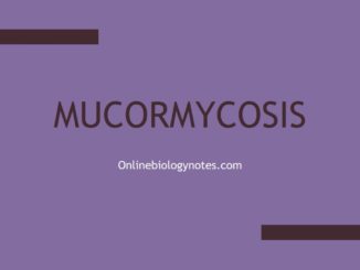 Mucormycosis: causative agents, pathogenesis, symptoms, diagnosis and treatment