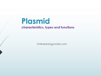 Plasmid: characteristics, types and functions