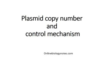 Plasmid copy number and control mechanism
