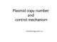 Plasmid copy number and control mechanism