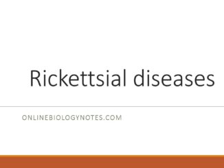 Rickettsial diseases: Pathogenesis, Typhus fever group, Spotted fever group