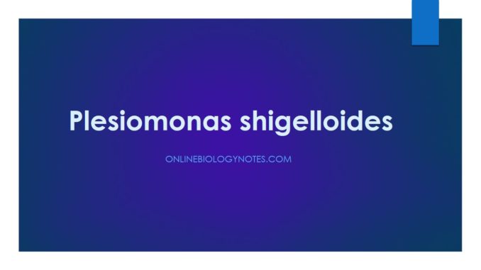 Plesiomonas shigelloides: clinical, cultural and biochemical characteristics