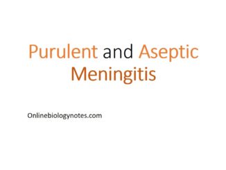 Meningitis: Purulent and Aseptic