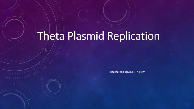 theta plasmid replication