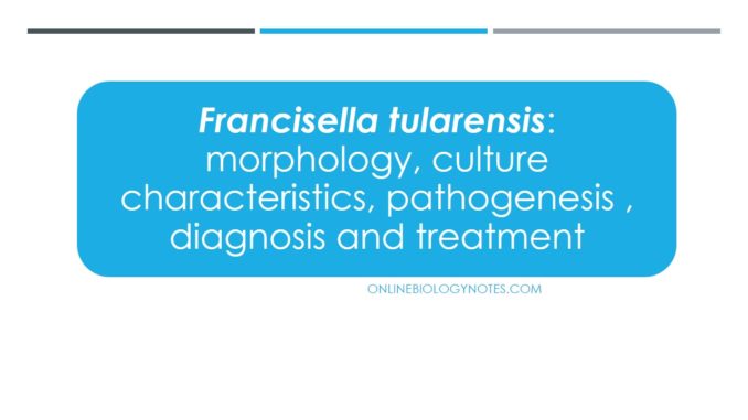 Francisella tularensis: morphology, culture characteristics, pathogenesis , diagnosis and treatment