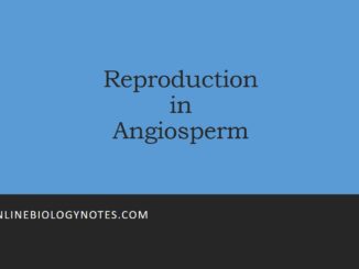 Reproduction in Angiosperm