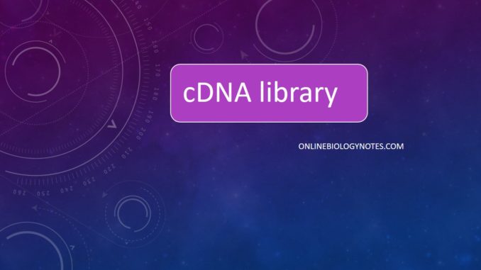 cDNA library: Process of construction of cDNA library, Advantages and Disadvantages
