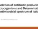 Isolation of antibiotic producing microorganisms and Determination of antimicrobial spectrum of isolates