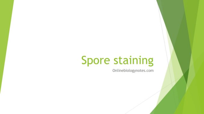 spore staining technique